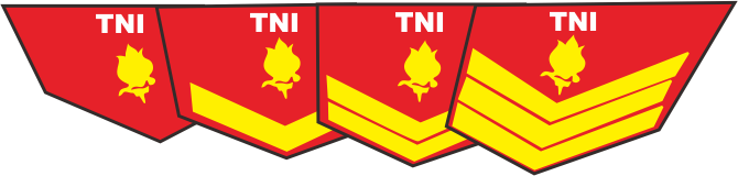 Jenjang Kepangkatan Siswa IDP-PSDP Penerbang TNI